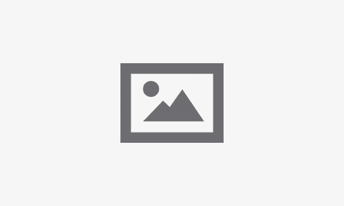 Kumar fon karşılığında onaylı portal ve sanal kumarhanenin ayrıcalıklar ile aynası